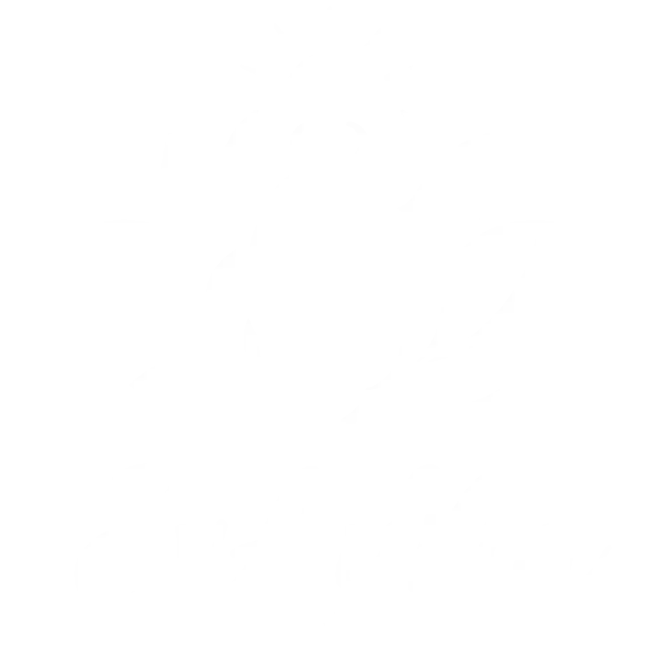 logo EvAyNa PDP